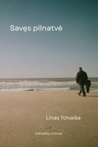 Savęs pilnatvė viršelis 500 pikseliu